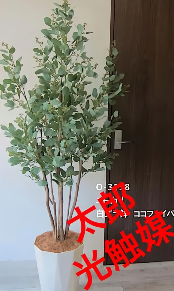 光触媒　人工観葉植物　ウォールグリーン　フェイク　フラワー　ユーカリ180