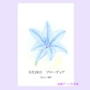 5月28日誕生花カード（花言葉つき）点描画