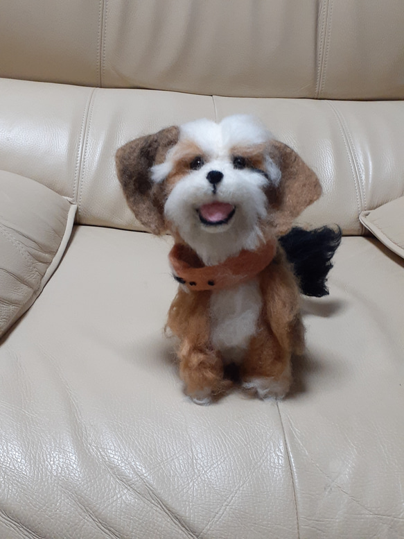 羊毛犬