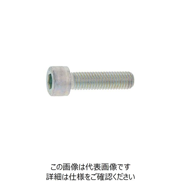 SUNCO ステンCAP（日産ネジ 3×40 （500本入） A0-02-000N-0030-0400-00 241-2120（直送品）