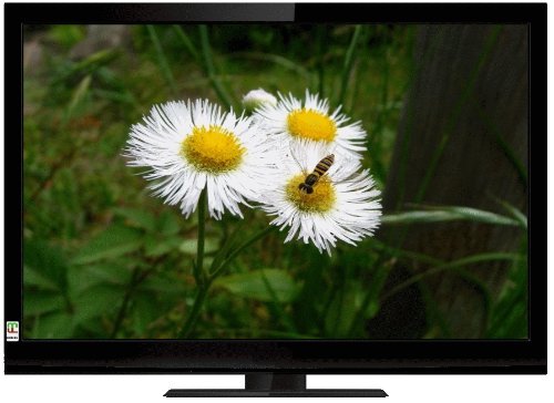 ミツマル MEK 液晶テレビ32型 ブラック LCT-3205W【中古品】