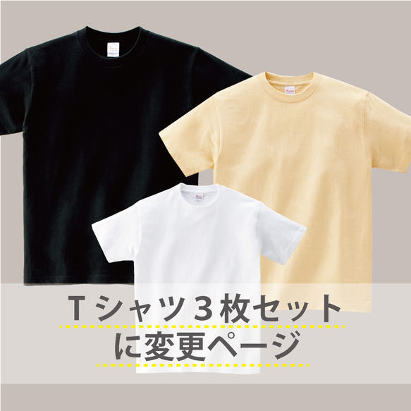 【名前可】Tシャツ3枚セットに変更ページ