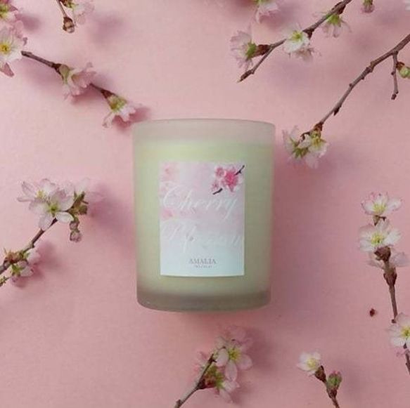 桜キャンドル フロスト Scented soycandle cherry blossom