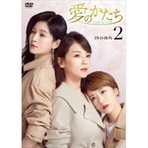 【DVD】愛のかたち～Love is true～ DVD-BOX2