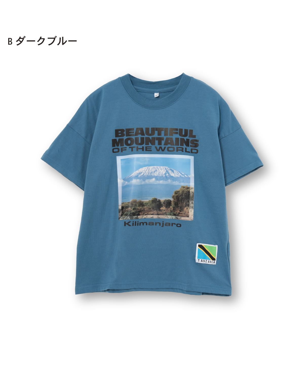 ディフィット/BIG Tシャツ