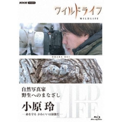 【BLU-R】ワイルドライフ 自然写真家 野生へのまなざし 小原玲 BD