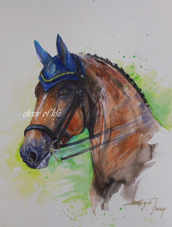 Dressage Horse 2024 (高級水彩画用紙３２ｃｍ×４１，５ｃｍ、水彩、アクリル）