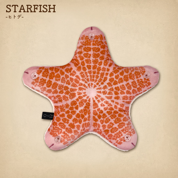 MATAGI：ヒトデ/STARFISH