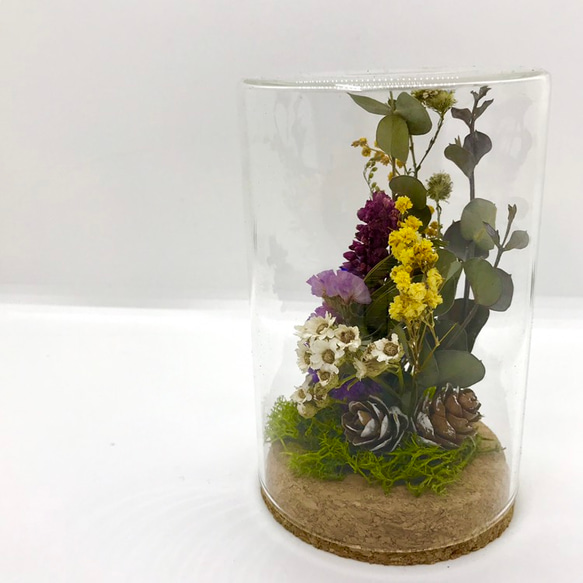 ドライフラワーのある暮らし〜dryflower glass〜