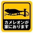 カメレオンが家におります カー マグネットステッカー 13cm