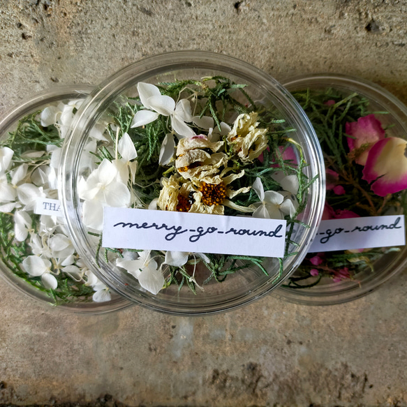 Dried flowers in petri dish