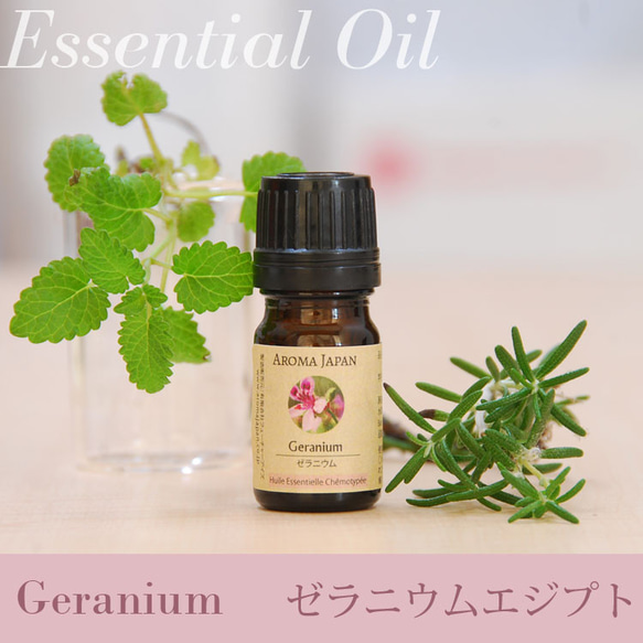 ゼラニウムエジプト精油3ml~　アロマオイル/エッセンシャルオイル/ケモタイプ精油/Geranium