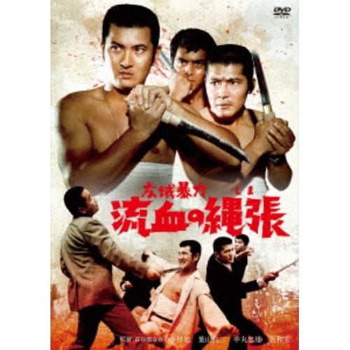 【DVD】広域暴力 流血の縄張