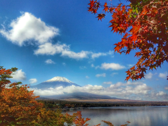 世界遺産 富士山 写真 A4又は2L版 額付き