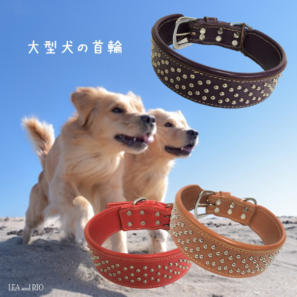 首輪 カラー スタッズ 中型犬 大型犬 レザー 革製 散歩 犬服 ドッグウェア R25 R27 R30