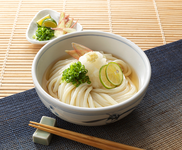 ［10人前］本場讃岐うどん　半生　おか乃や　さぬきうどん　贈答品