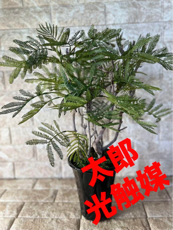 光触媒　人工観葉植物　ウォールグリーン　フェイクグリーン　エバーフレッシュ555