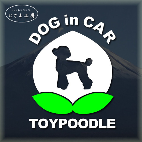 トイプードルのDOGinCAR　かわいい白い桃ちゃんステッカー。