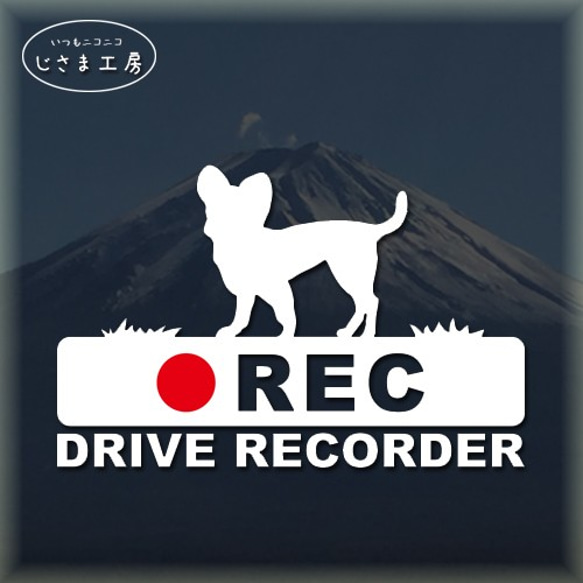 スムースチワワの白シルエットステッカー後方注意!!『DRIVE　RECORDER』