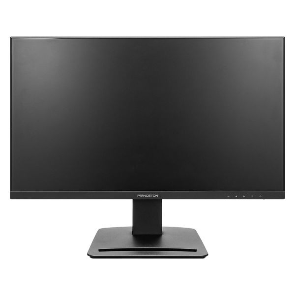 広視野角パネル採用23.8型ワイドカラー液晶ディスプレイ PTFBFG-24W 1台 プリンストン（直送品）