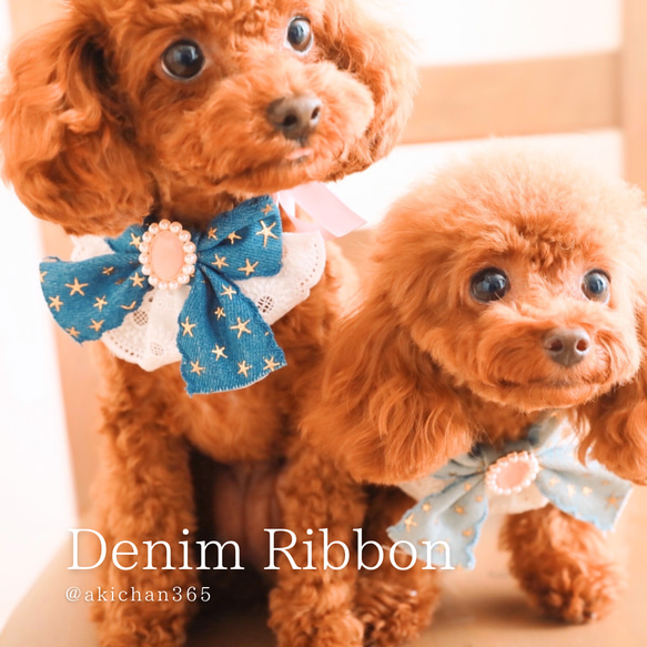 Denim Ribbon／ヘアクリップ、バレッタ、チョーカー、アクセサリー、リボン、デニム、犬、猫