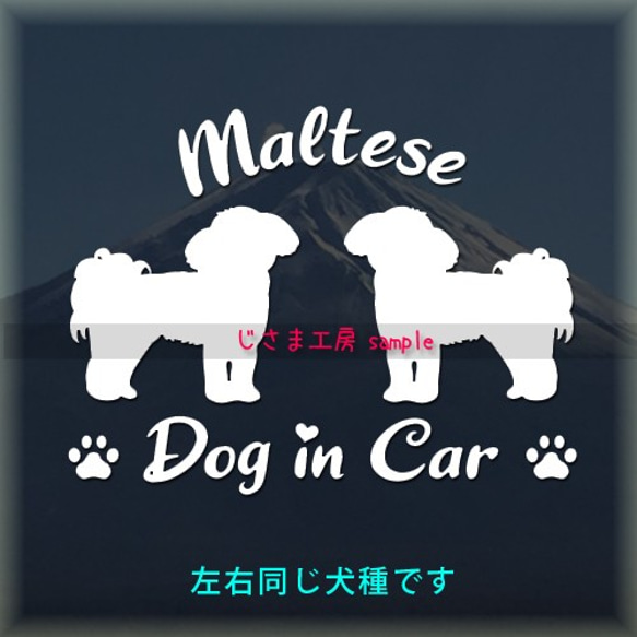 【同一犬種】　かわいい愛犬2頭飼い『Dog　in　Car』シルエットステッカー