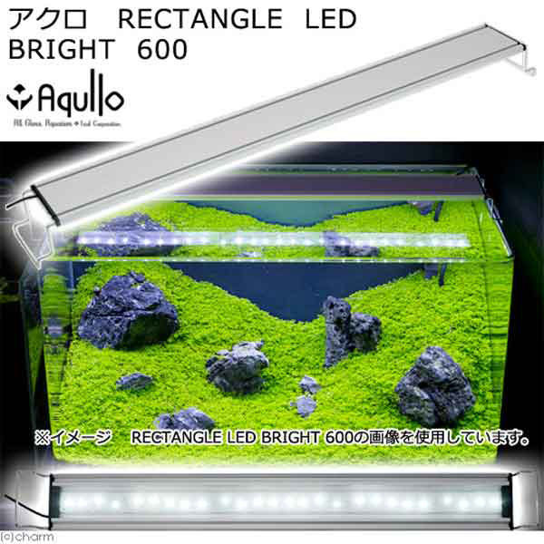 リーフ アクロ LED RECTANGLE BRIGHT