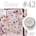 * マステ [切] *  Daisy【42】