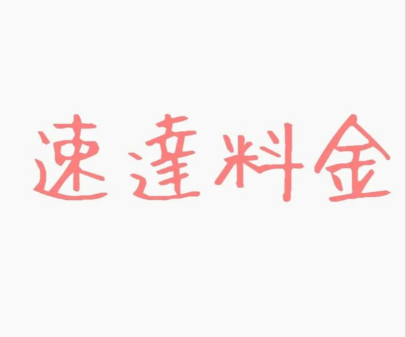 速達にて配送