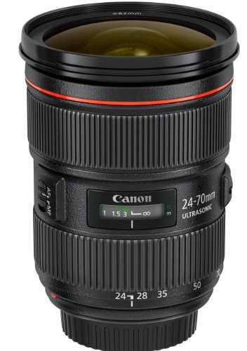 Canon 標準ズームレンズ EF24-70mm F2.8L II USM フルサイズ対応【中古品】