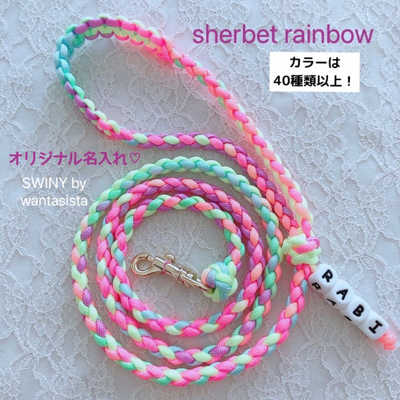 【スタンダードリード】❤︎4本編み❤︎名入れはオプションより♡wantasista♡ハーネス別売り　パラコード