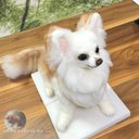 3D犬　チワワ　オーダーメイド　（オプション25㎝）　羊毛フェルト　犬