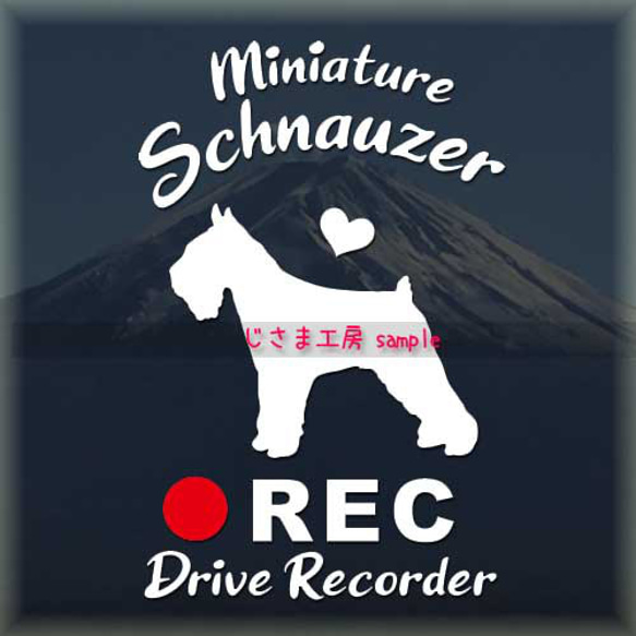 わんちゃんの可愛いドラレコステッカー!!『DRIVE　RECORDER』