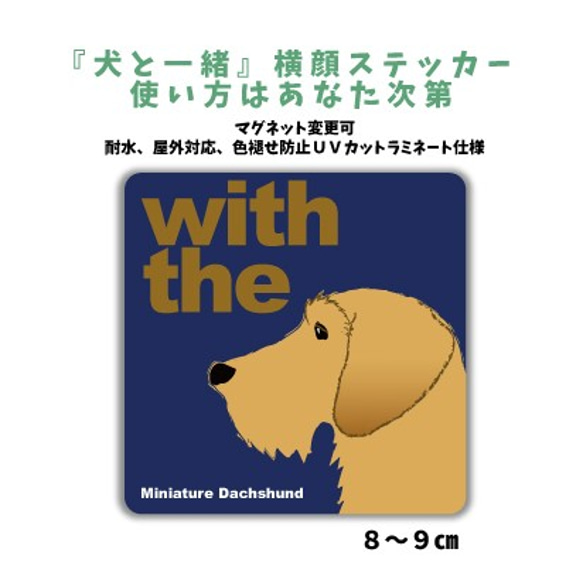 ミニチュアダックスフンド  ワイヤーヘアークリーム DOG IN CAR 『犬と一緒』横顔ステッカー 車 玄関 名入れ