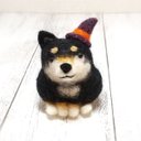 ハロウィン帽子をかぶった まんまる黒柴犬 羊毛フェルト