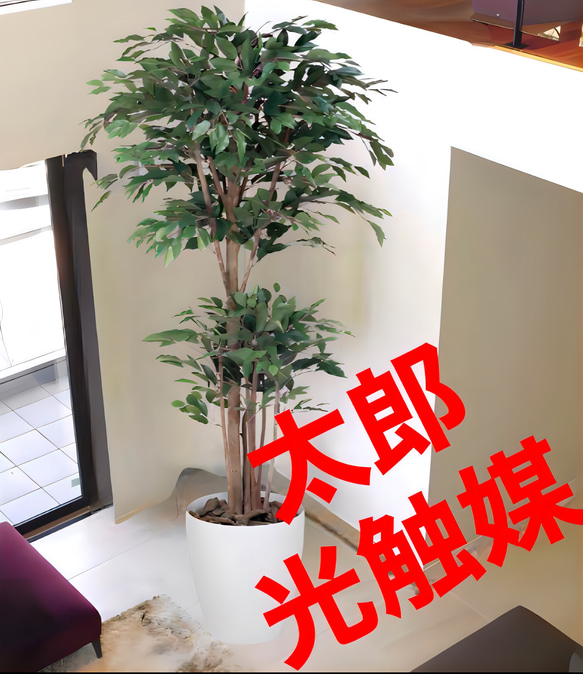 光触媒　人工観葉植物　フェイクグリーン　トロピカルベンジャミン 1.8m