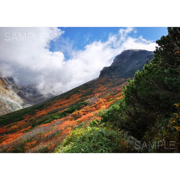 【2L写真】神宿る山・秋の富良野岳登山道、北海道風景フォト