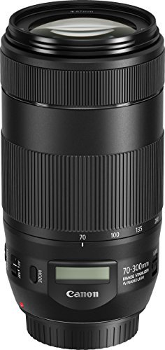 Canon 望遠ズームレンズ EFレンズ EF70-300mm F4-5.6 IS II USMフルサイズ対応 EF70-300IS2U【中古品】