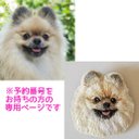 犬のページ  【リアルわんちゃん】手刺繍ブローチ