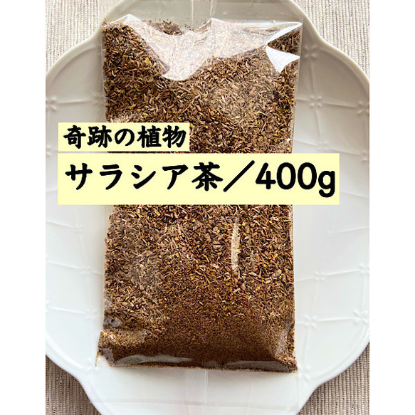 【サラシア茶】200g×2袋 奇跡の植物 お茶 野草茶 健康茶 血糖値 腸活 ダイエット茶 糖質ブロック！ノンカフェイン