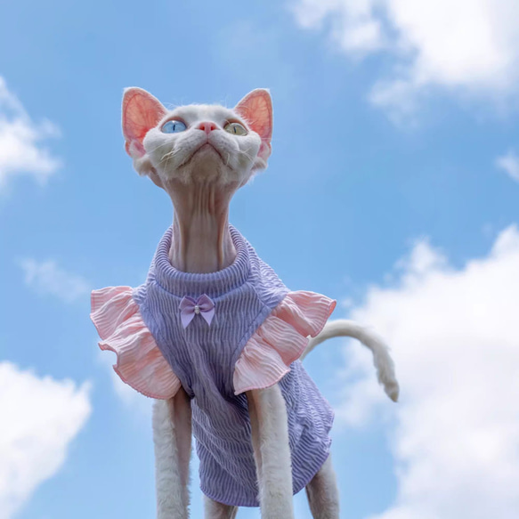 猫服 ペット服 ネコ 紫蝶結び付きプリンセス風フリル袖猫ベスト 姫スカート きれい スフィンクス猫 デボンレックス猫