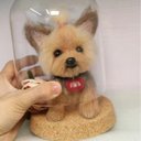 【受注制作】うちの子オーダー　犬　羊毛フェルト  ふわふわ羊毛で手作り　ミニチュア マスコット  ハンドメイド メモリアル 【写真から作る】オーダーメイド承り中　ヨークシャーテリア　難易度高