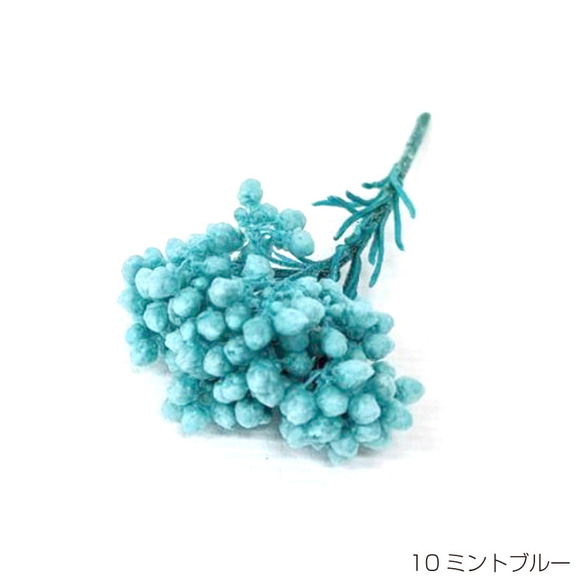 【即納】 ライスフラワー パステルシリーズ 70g ミントブルー プリザーブドフラワー 花材 小さい花 花