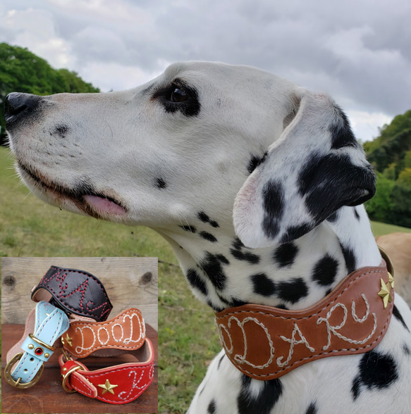 名入れ首輪　チェーンステッチ　アルファベット刺繍　本革　名前　馬蹄　蹄鉄　中型犬～大型犬