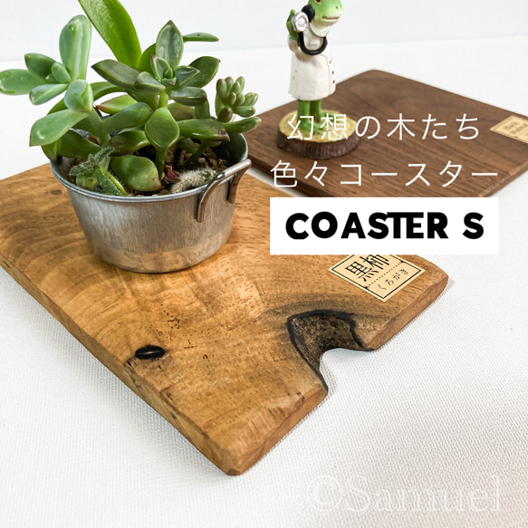 ◩きのかたち「色とりどりの不揃いコースター：幻想の木たち」S│インテリア 花台 飾り台 coaster C202