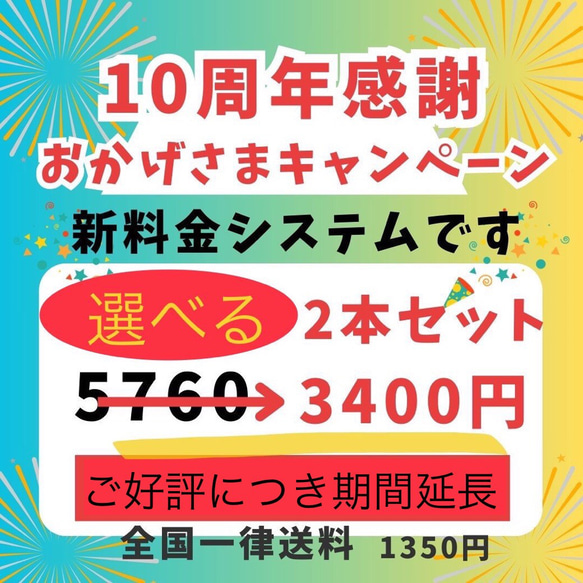 P10SS  自由な組合わせセット【送料全国一律】