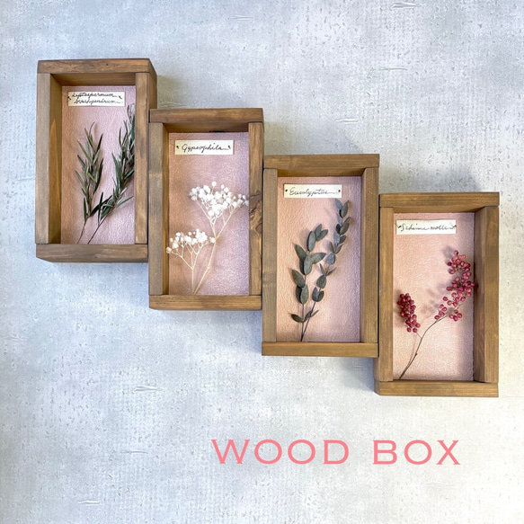 ❁Botanical Collection ❁Wood Box 【#1991】壁色：ピンク