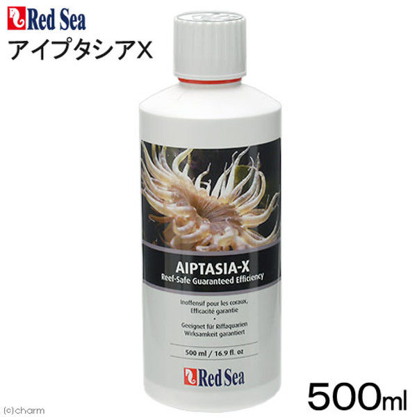 チャーム アイプタシアX 500mL 201270 1個（直送品）