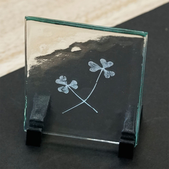 アッシュド オキザリス　( Ashed Oxalis in Glass 灰化カタバミ)