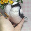 リアルサイズ♪ エナガ 銀喉長尾山雀 Long-tailed tit 野鳥  羊毛フェルト 鳥のオブジェ リアルバード 受注制作